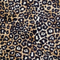 Leopard Natur (43)