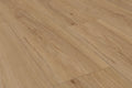 Camverino Eiche Honig Klickvinyl