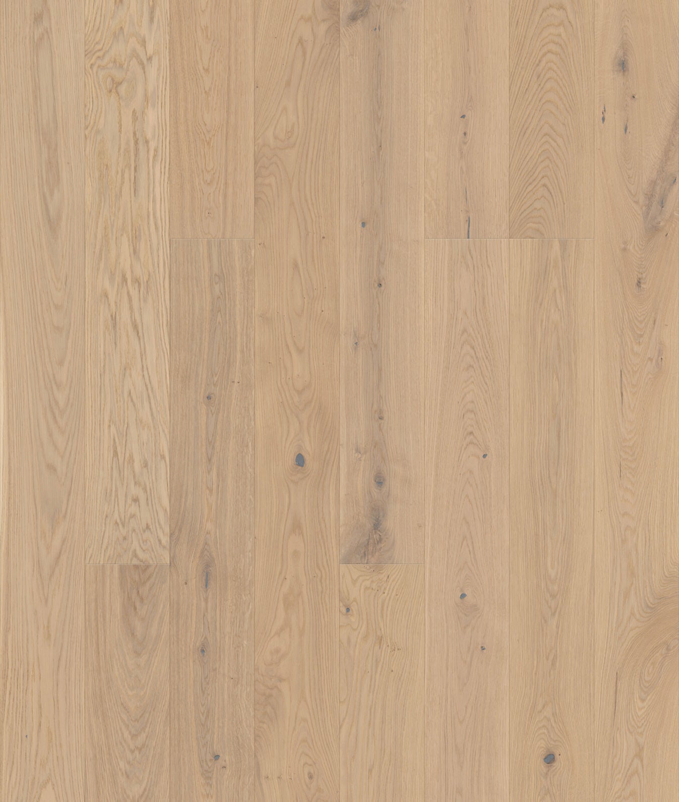 Casella | Farbe: Eiche Creme Natur geölt | Produktbild