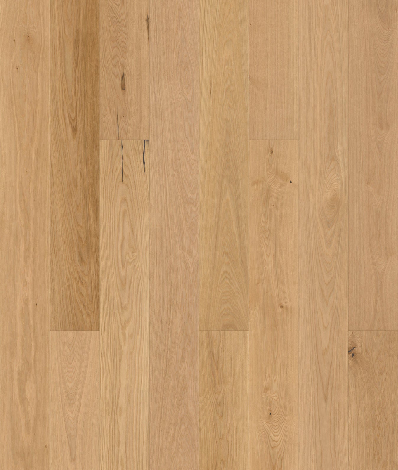 Casella | Farbe: Eiche Natur geölt | Produktbild