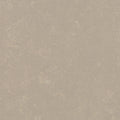 Beige Warm
