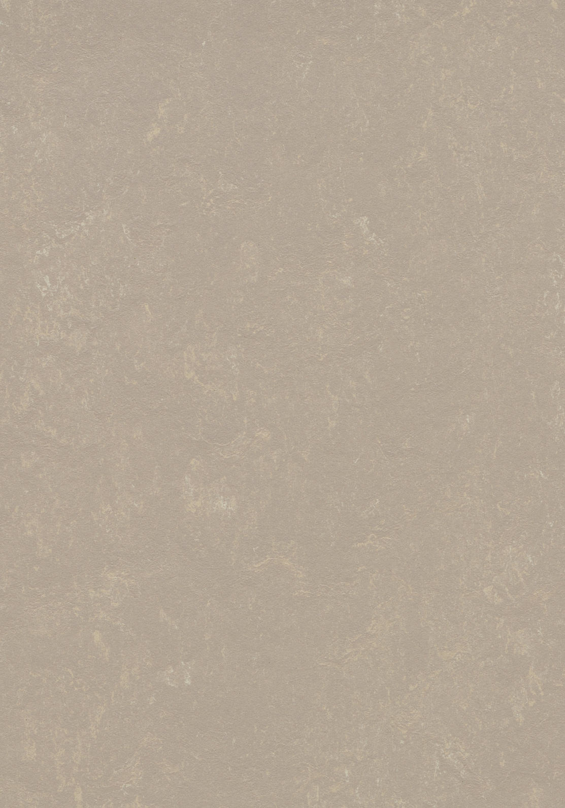 Cavero Linoleumboden 200cm | Farbe: Beige Warm | Farbansicht