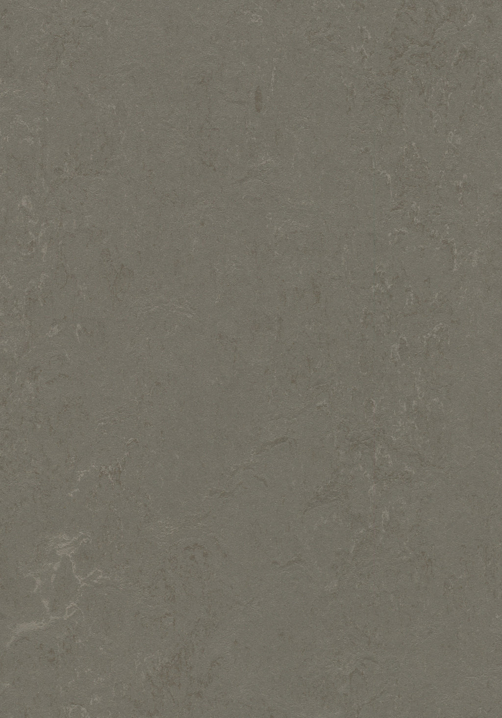 Cavero Linoleumboden 200cm | Farbe: Grau Dunkel | Farbansicht