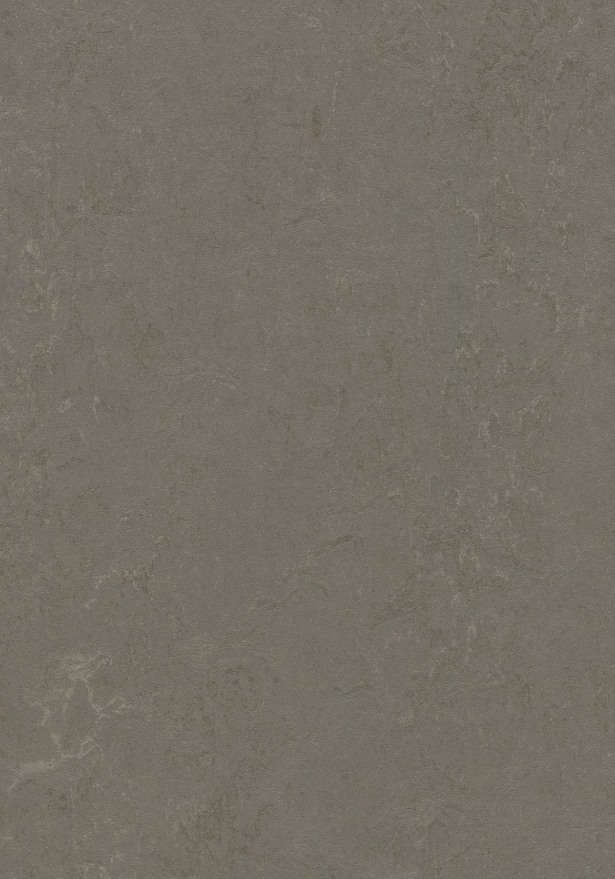 Cavero Linoleumboden 200cm | Farbe: Grau Dunkel | Farbansicht