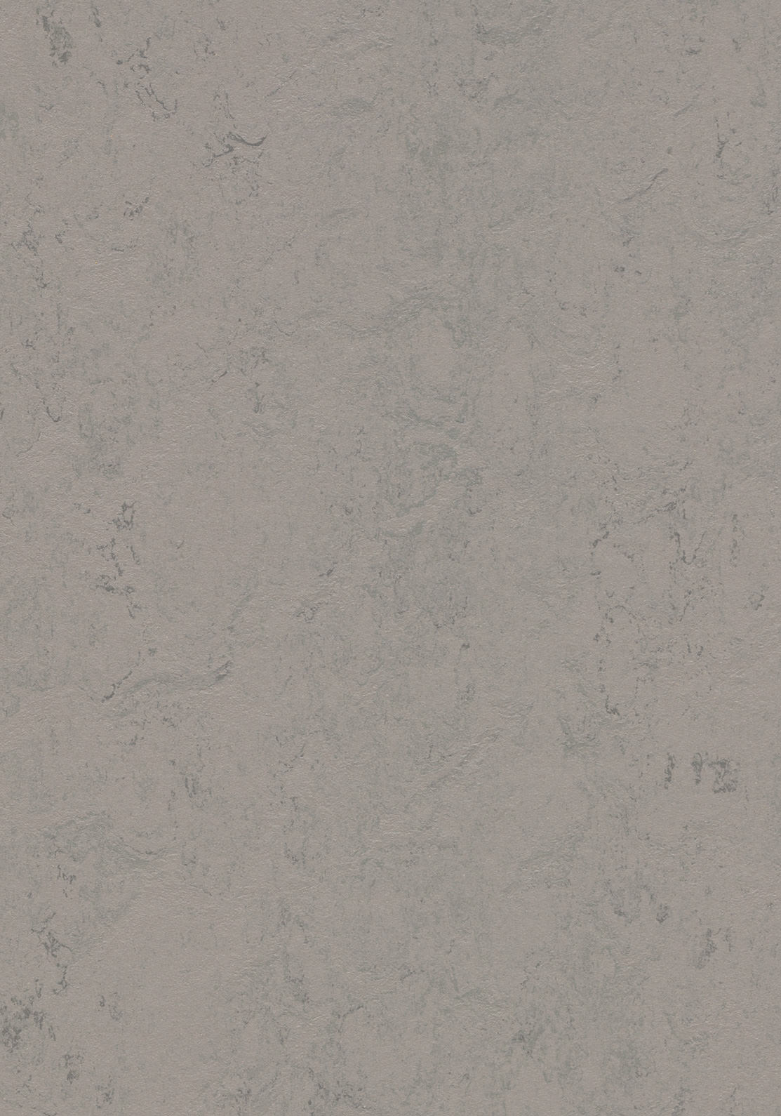 Cavero Linoleumboden 200cm | Farbe: Grau Mittel | Farbansicht