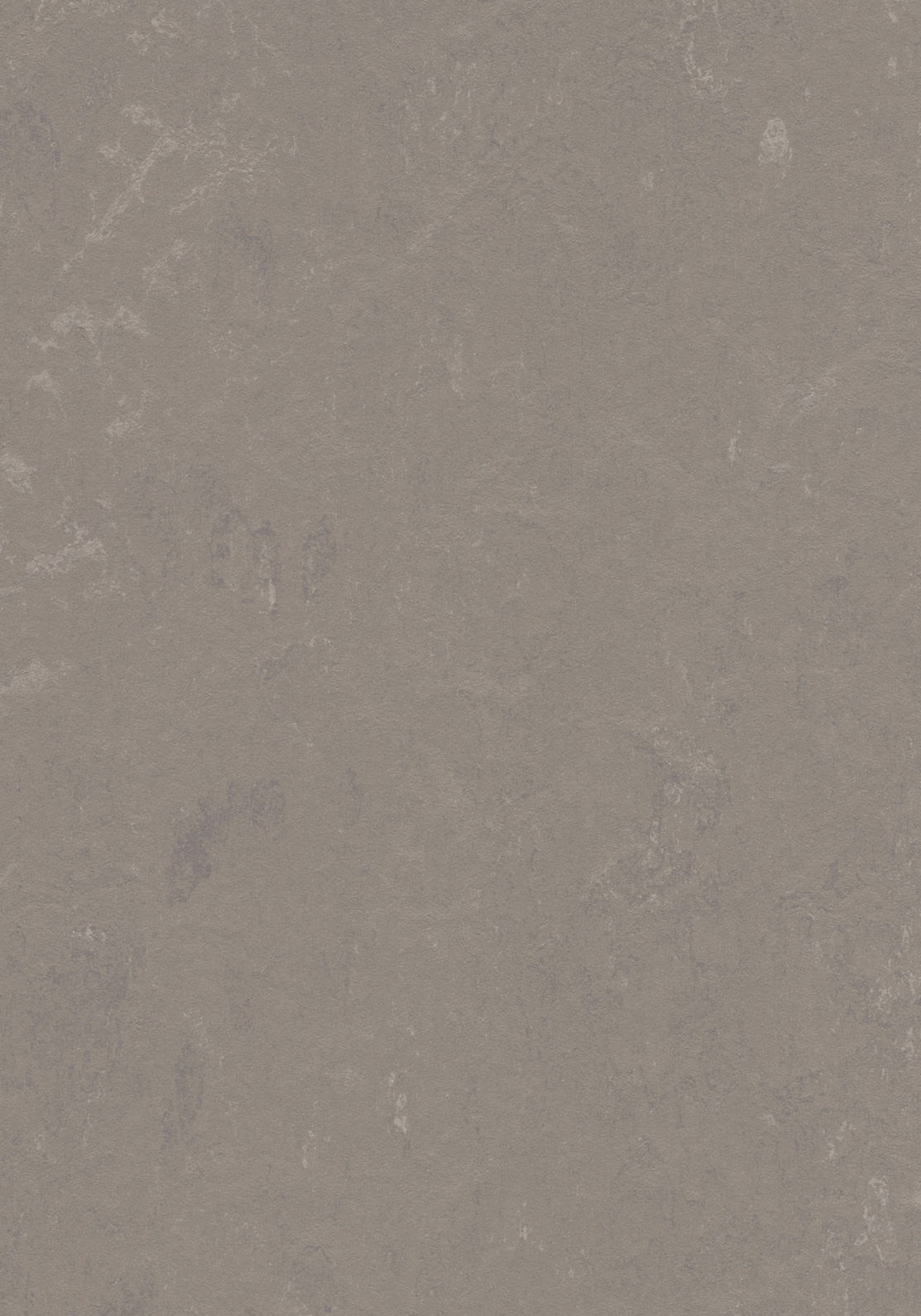 Cavero Linoleumboden 200cm | Farbe: Grau Warm | Farbansicht