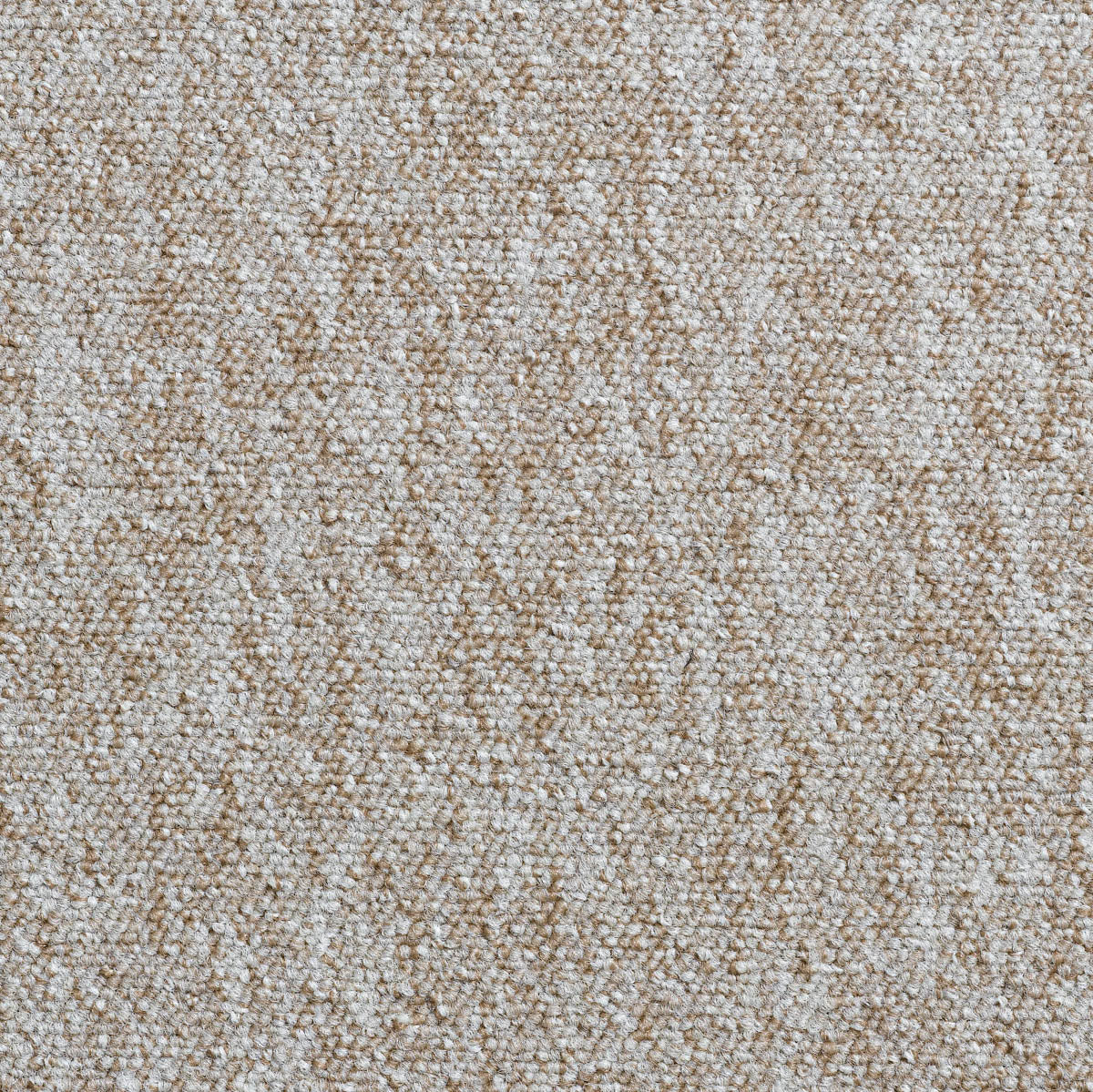 Clematis Teppichboden | Farbe: Creme (70)