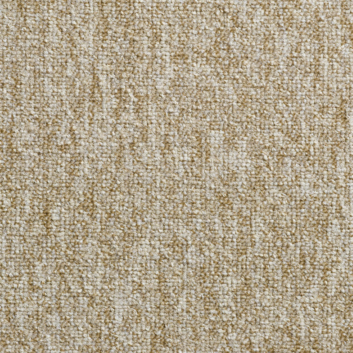 Clematis Teppichboden | Farbe: Sand (72)