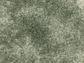 Coralia Teppichboden | Farbe: Grün Dunkel | Farbansicht