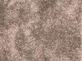Taupe Dunkel