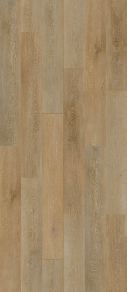 Cordeno Eiche Honig Klebevinyl