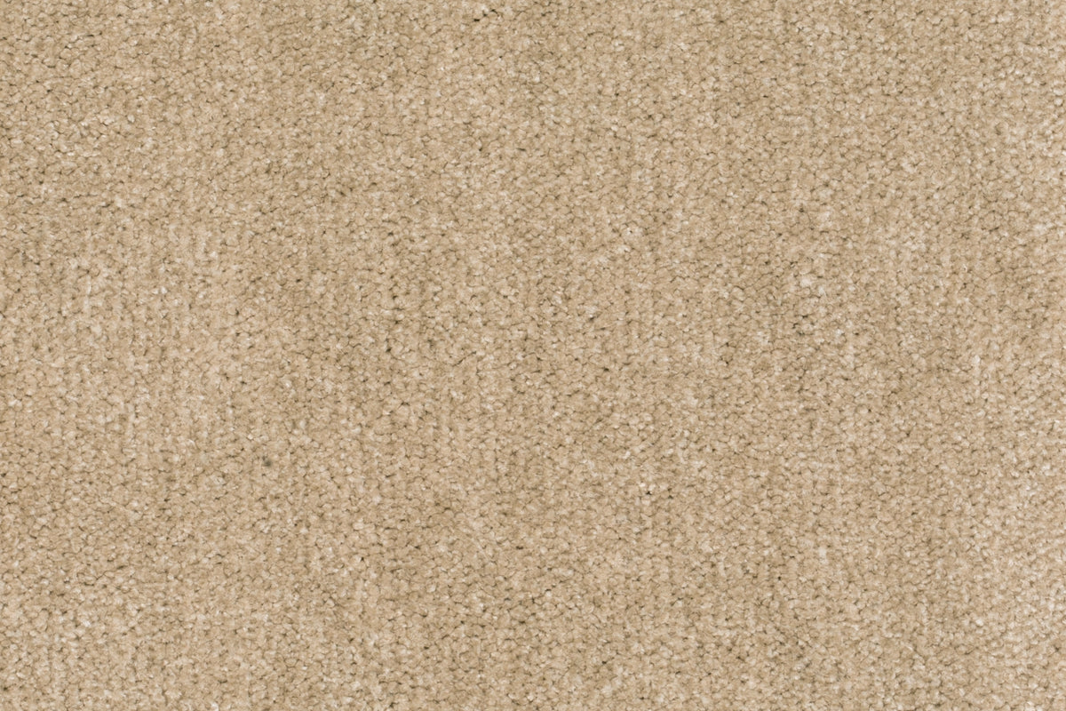 Corina Teppichboden | Farbe: Beige Mittel Heller | Farbansicht