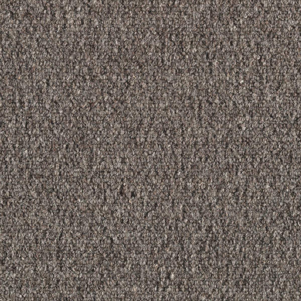 Corlana Teppichboden | Farbe: Dunkeltaupe (45)
