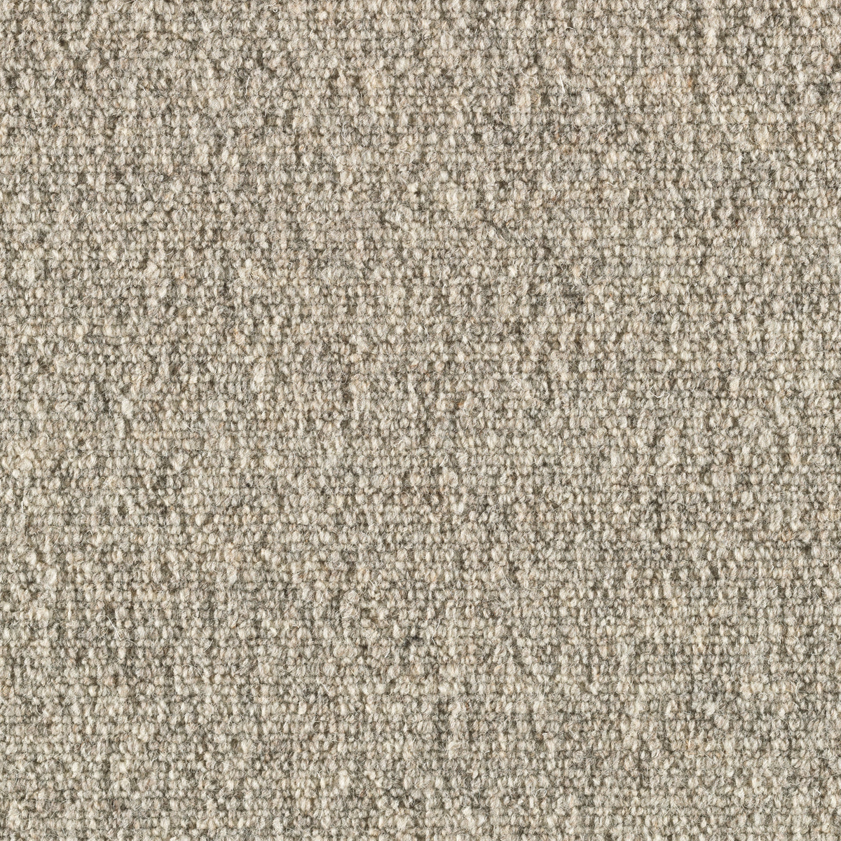 Corlana Teppichboden | Farbe: Kieselgrau (35)