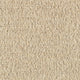 Sand Dunkel (10)
