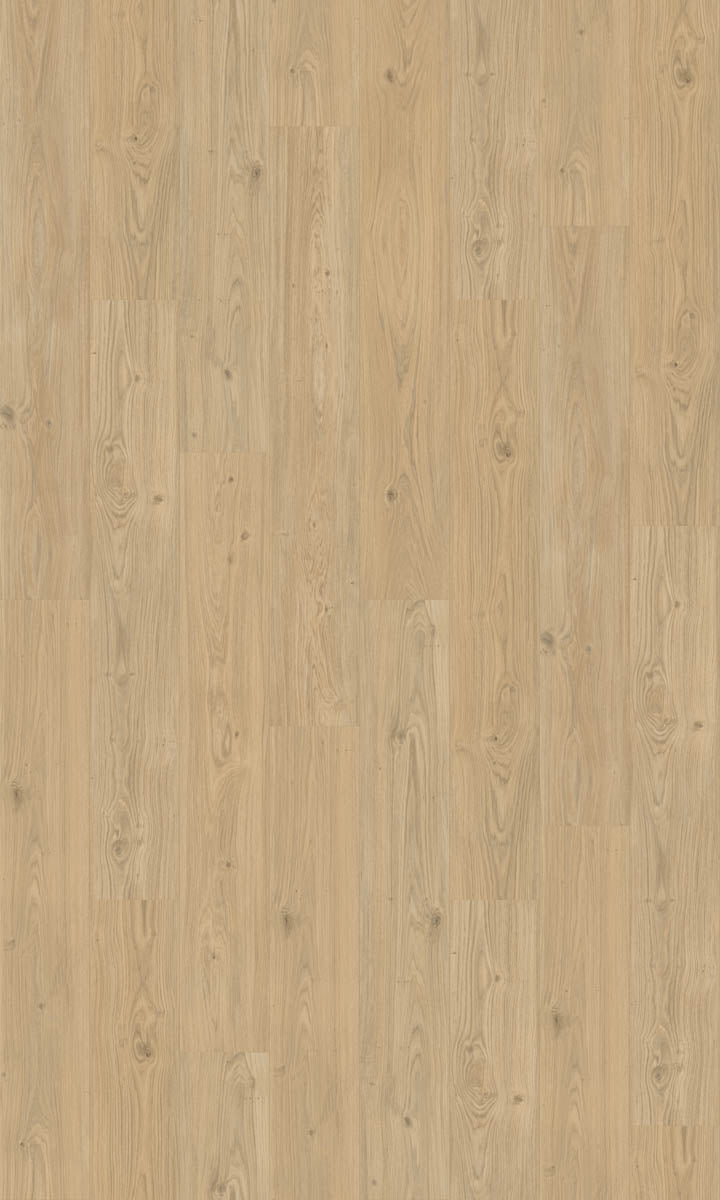 Dalzano Eiche Blond Klickvinyl