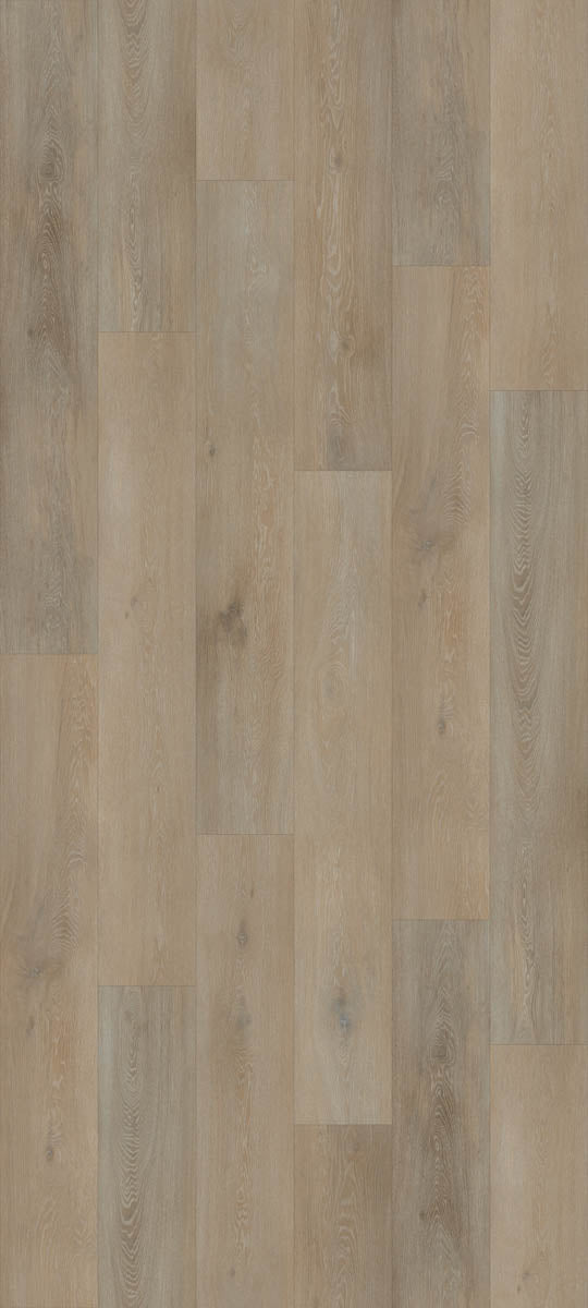 Dalzano Eiche Greige Klickvinyl