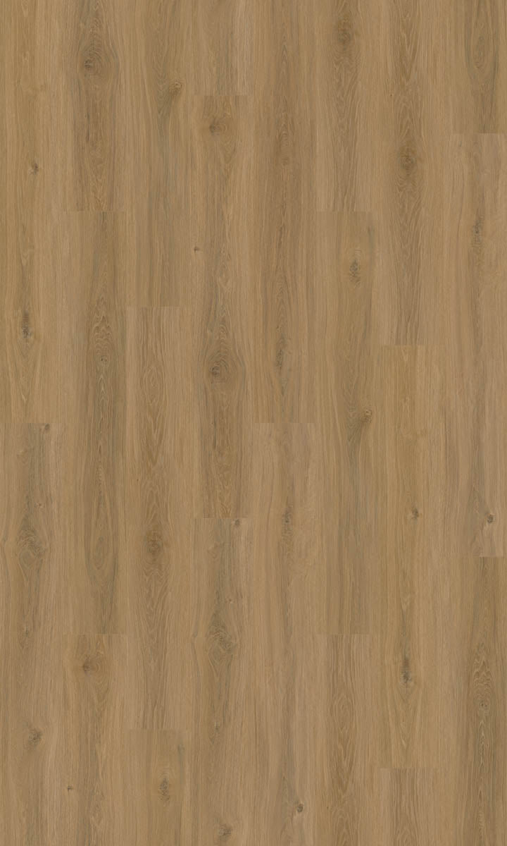 Dalzano Eiche Karamell Klickvinyl