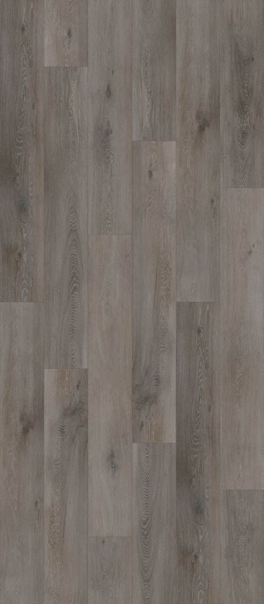Dalzano Eiche Rauchgrau Klickvinyl