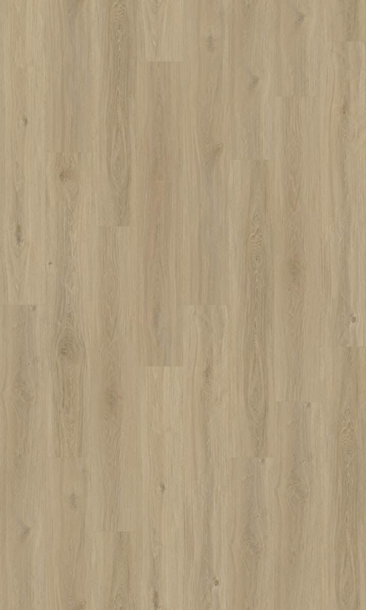 Dalzano Eiche Sand Klickvinyl