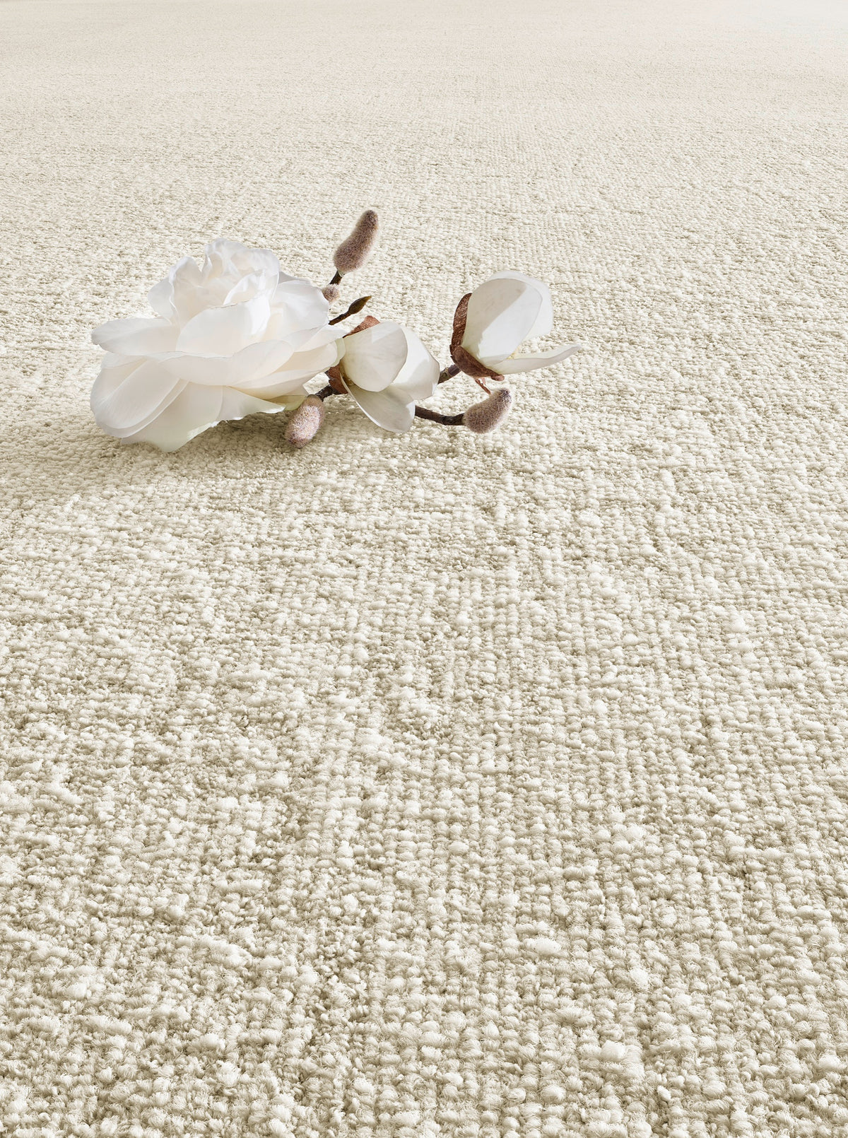 Delmare Teppichboden | Farbe: Creme (032) | Detailansicht 3