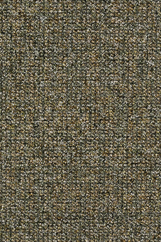 Delphina Teppich nach Maß | Farbe: Moosgrün (024) | Musterfoto (Farbe kann abweichen)
