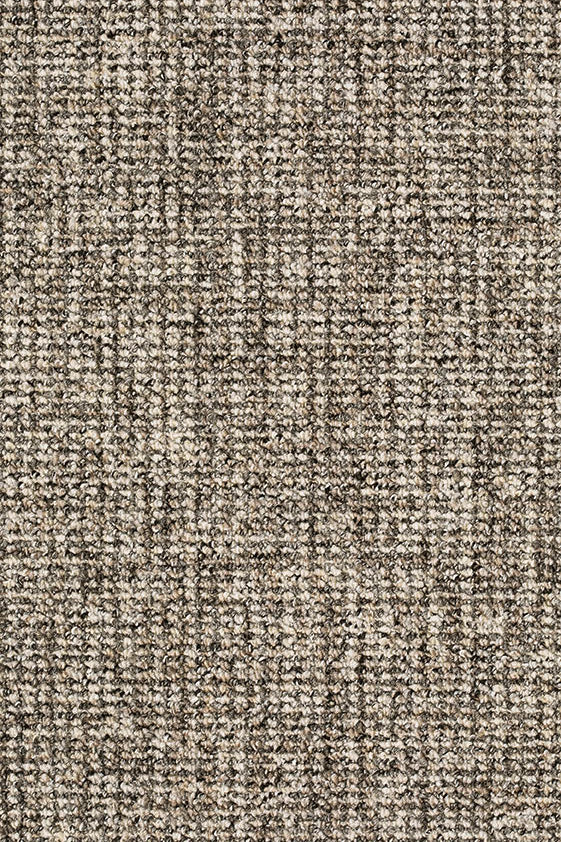 Delphina Teppich nach Maß | Farbe: Kiesel (039) | Musterfoto (Farbe kann abweichen)