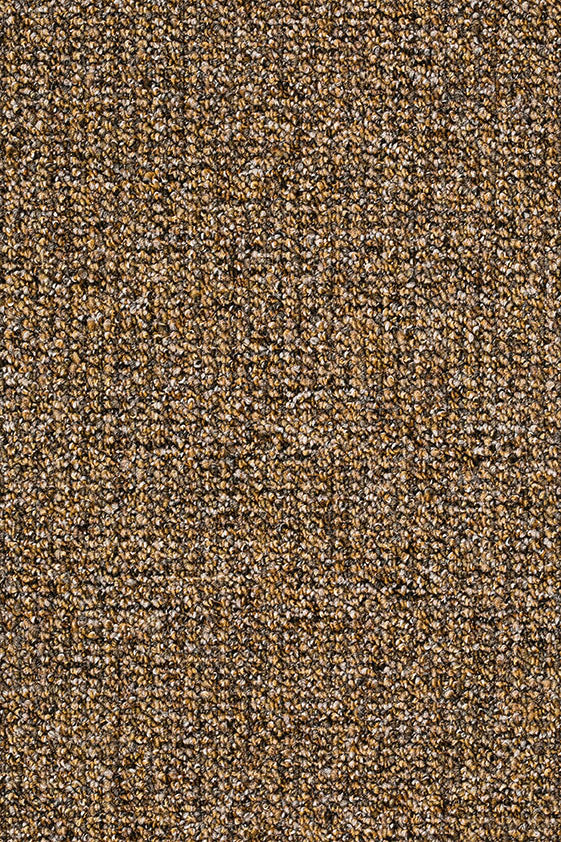 Delphina Teppich nach Maß | Farbe: Bronze (054) | Musterfoto (Farbe kann abweichen)