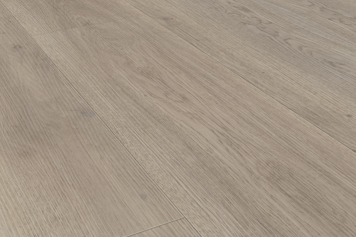 Domvero Eiche Grau Klickvinyl