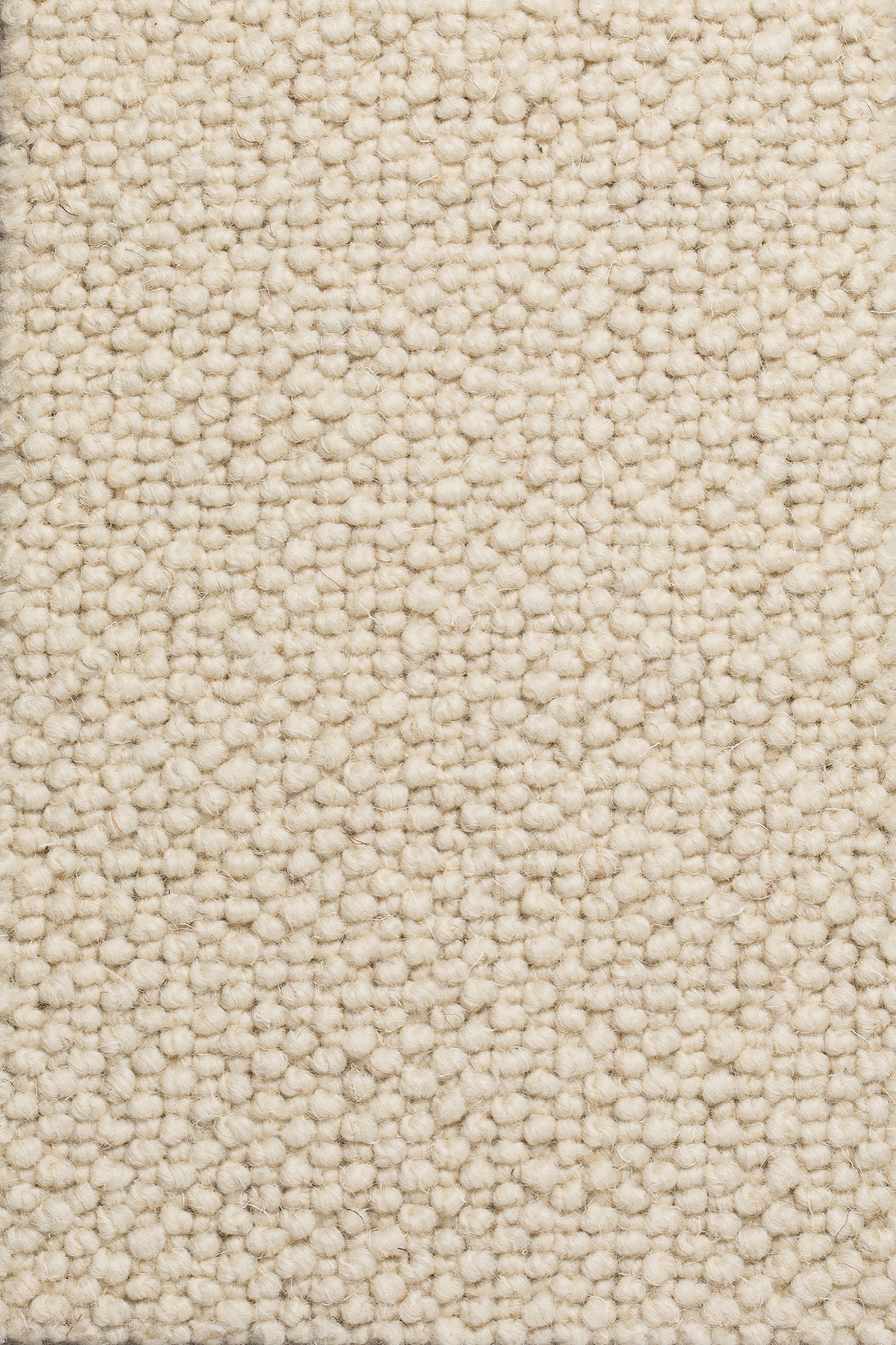 Dunessa Teppichboden | Farbe: Beige (1)
