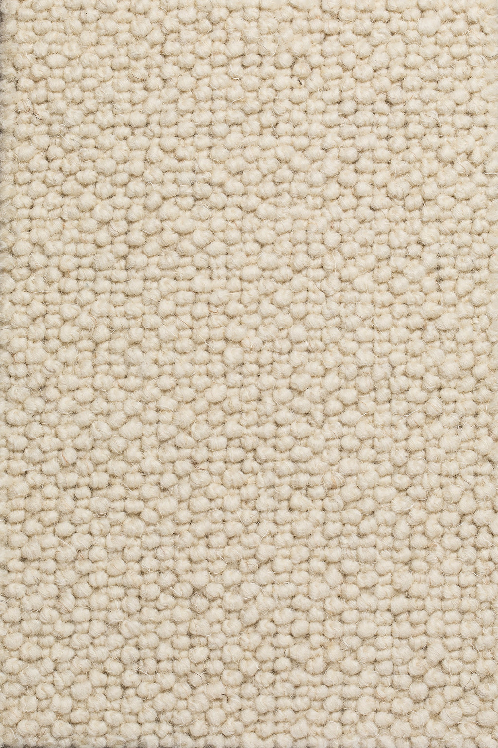 Dunessa Teppichboden | Farbe: Beige (1)