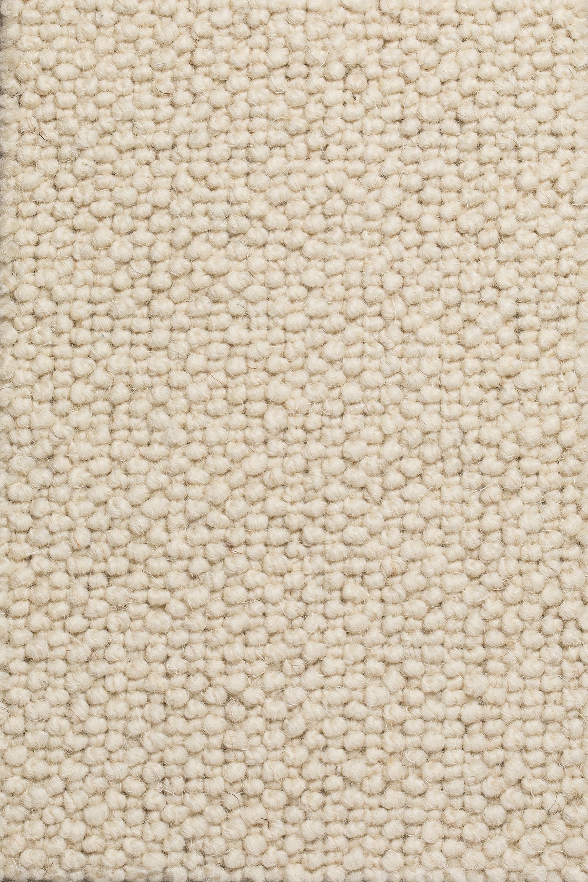 Dunessa Teppichboden | Farbe: Beige (1)