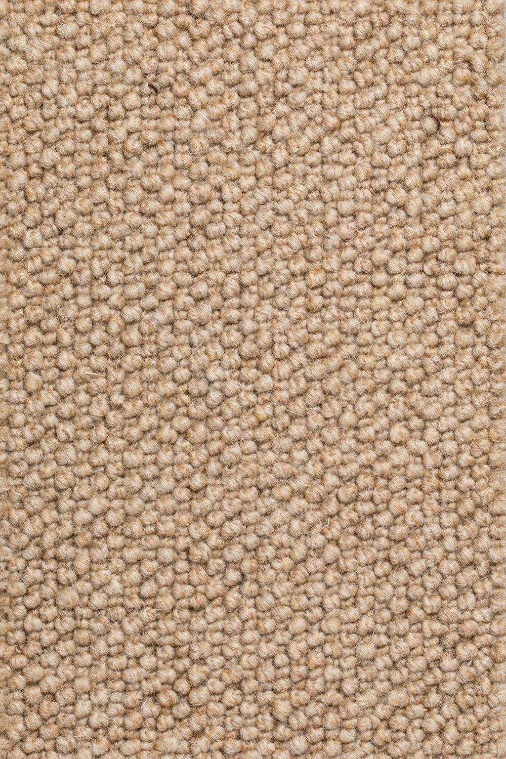 Dunessa Teppichboden | Farbe: Nougat (10)