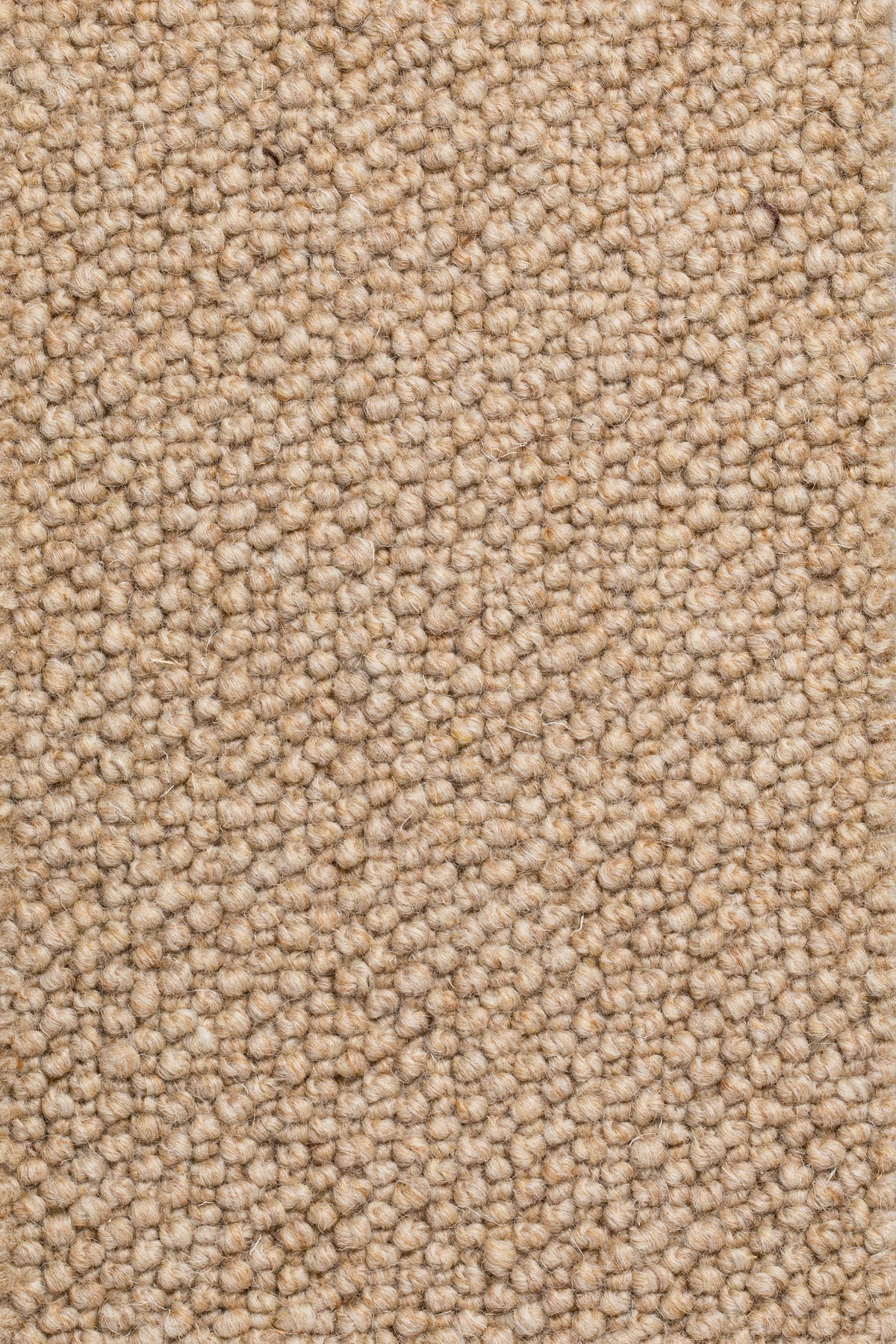 Dunessa Teppichboden | Farbe: Nougat (10)