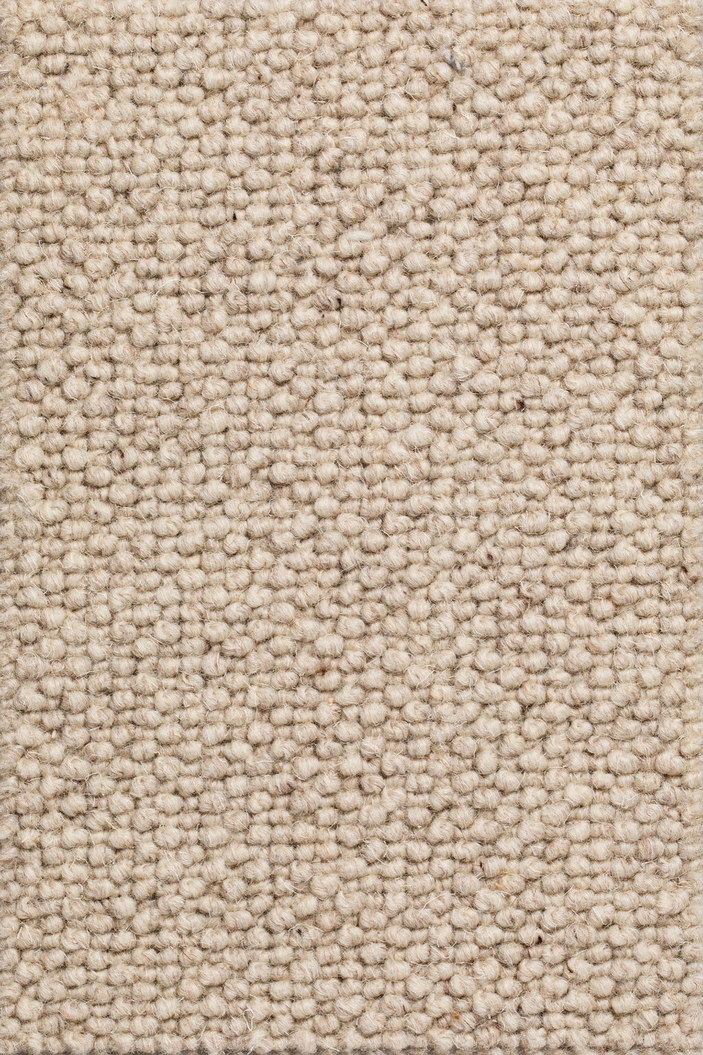 Dunessa Teppichboden | Farbe: Sand (5)