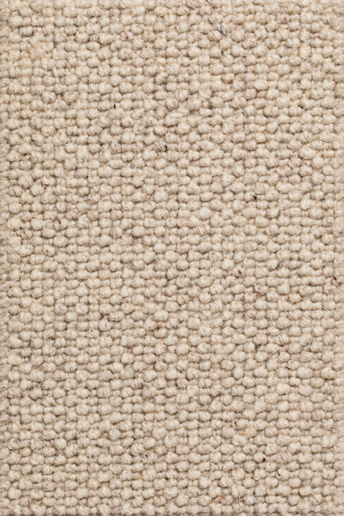 Dunessa Teppichboden | Farbe: Sand (5)