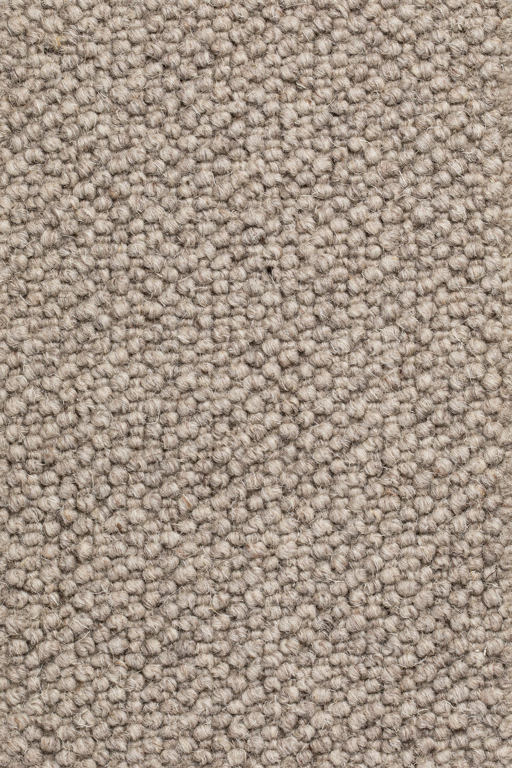 Dunessa Teppichboden | Farbe: Taupe (35)