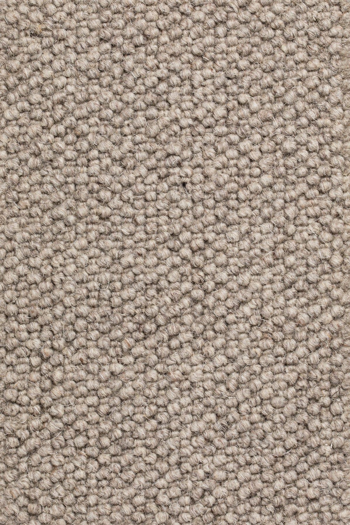 Dunessa Teppichboden | Farbe: Taupe (35)