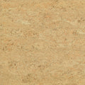 Beige Warm