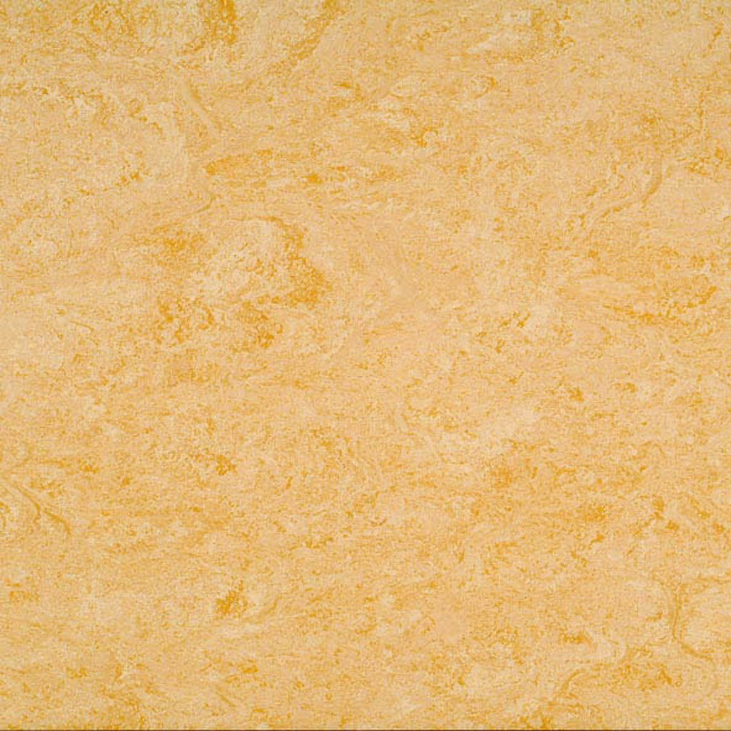 Elastium Linoleumboden 200cm | Farbe: Gelb Beige | Farbansicht