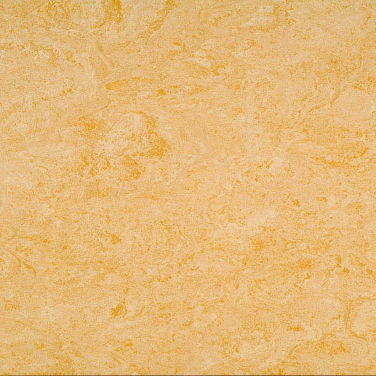 Elastium Linoleumboden 200cm | Farbe: Gelb Beige | Farbansicht