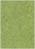 Elastium Linoleumboden 200cm | Farbe: Grün Gelb | Farbansicht
