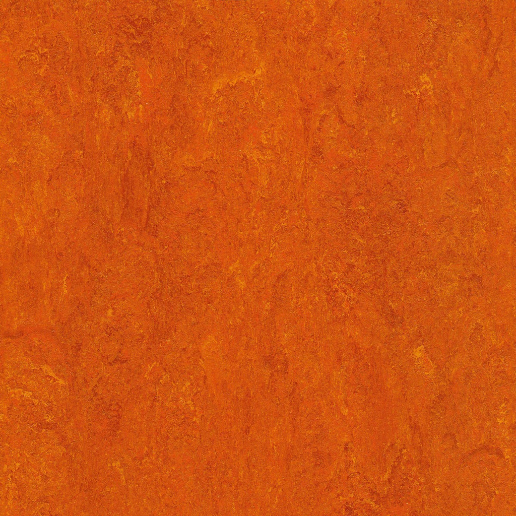 Elastium Linoleumboden 200cm | Farbe: Orange Warm | Farbansicht