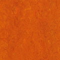 Orange Warm