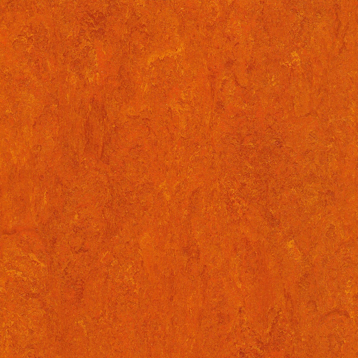 Elastium Linoleumboden 200cm | Farbe: Orange Warm | Farbansicht