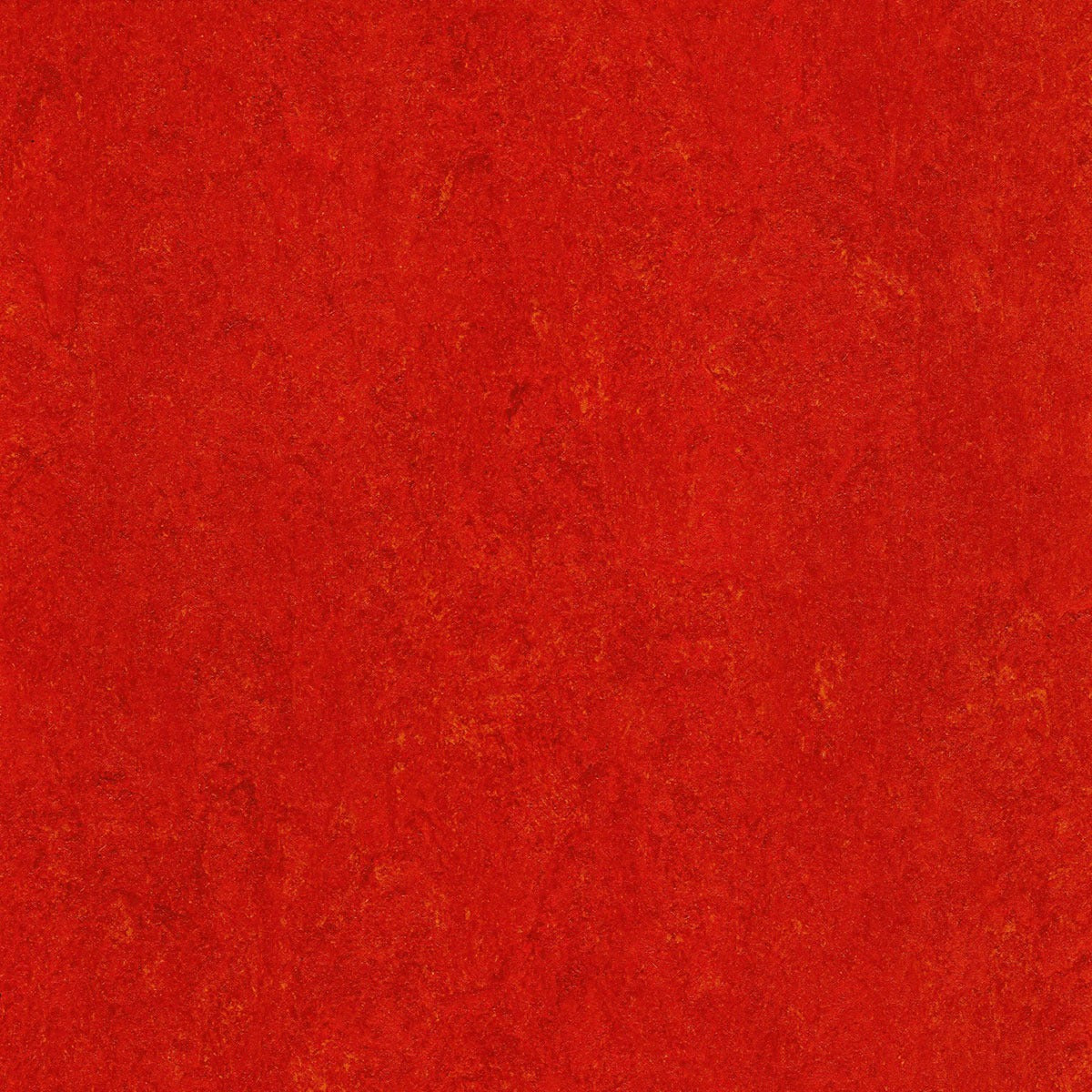 Elastium Linoleumboden 200cm | Farbe: Rot Burgund | Farbansicht