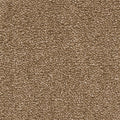 Haselnuss (090)