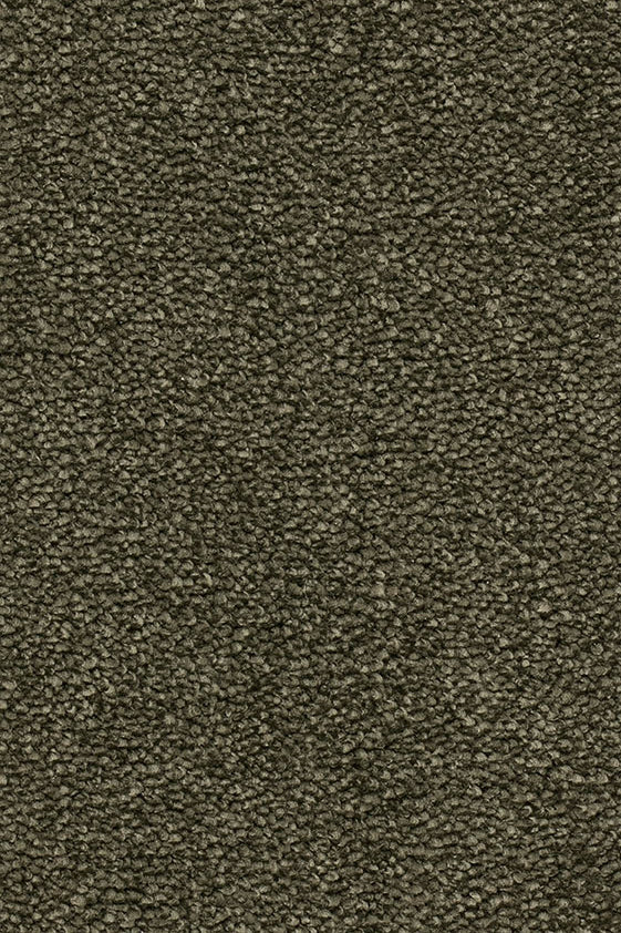Esmera Teppich nach Maß | Farbe: Olivgrün (046) | Musterfoto (Farbe kann abweichen)