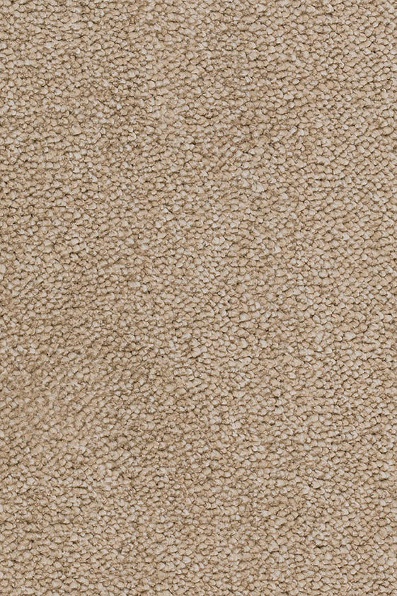 Esmera Teppich nach Maß | Farbe: Sand (070) | Musterfoto (Farbe kann abweichen)