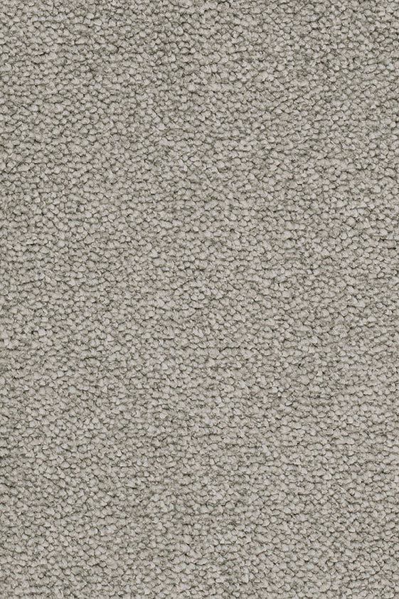 Esmera Teppich nach Maß | Farbe: Hellgrau (073) | Musterfoto (Farbe kann abweichen)